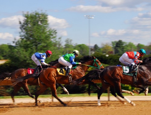 Achilles Stem Cell Treatment from Thoroughbred Racing May Work for People